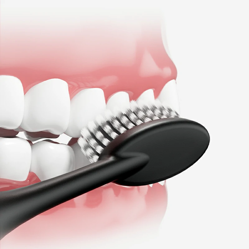 Bacteria Between Teeth: Why Brushing After Meals Is Not Enough