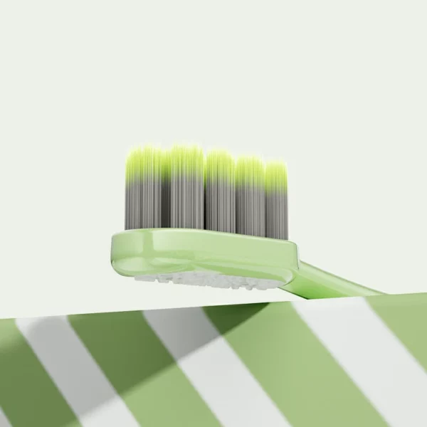 BPA-Free Adult Toothbrush