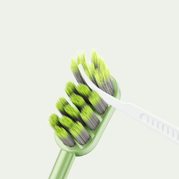 Sweetrip S295 Japan Top-Selling Colorful BPA-Free Adult Toothbrush