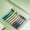 Sweetrip S295 Japan Top-Selling Colorful BPA-Free Adult Toothbrush